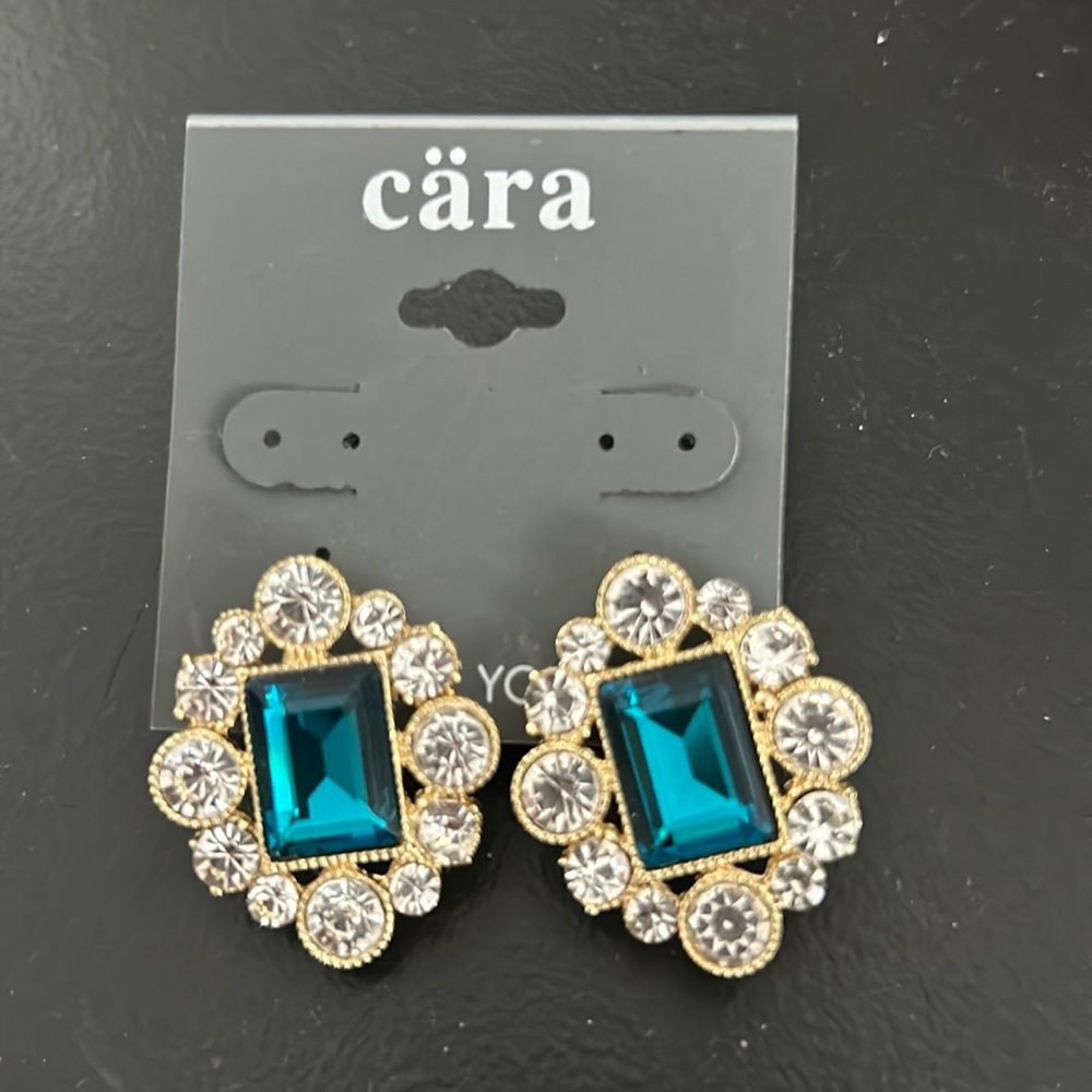 Cara NWT Fashion Earrings